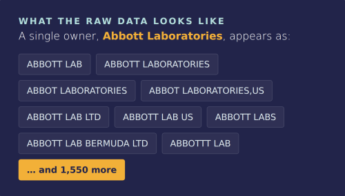 rawdata-how-does-it-look-lighthouse-ip